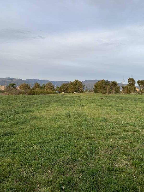 terreno agricolo in vendita a Prato