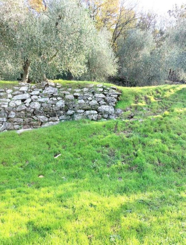 terreno agricolo in vendita a Prato in zona Santa Lucia