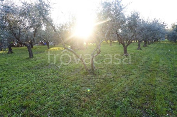 terreno agricolo in vendita a Prato in zona San Giusto