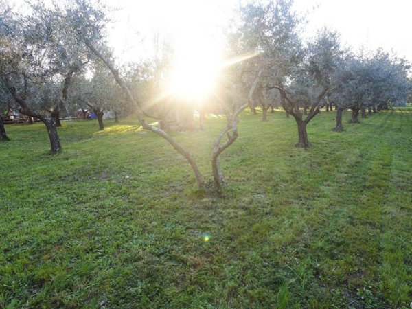 terreno agricolo in vendita a Prato in zona Tobbiana