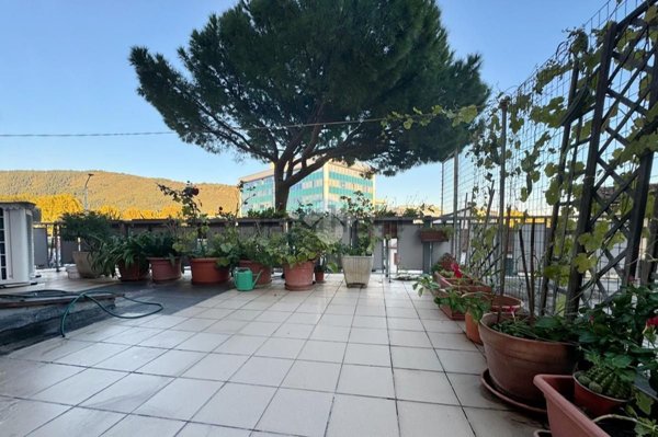 appartamento in vendita a Prato