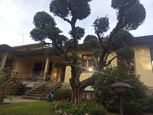 casa indipendente in vendita a Prato in zona Iolo