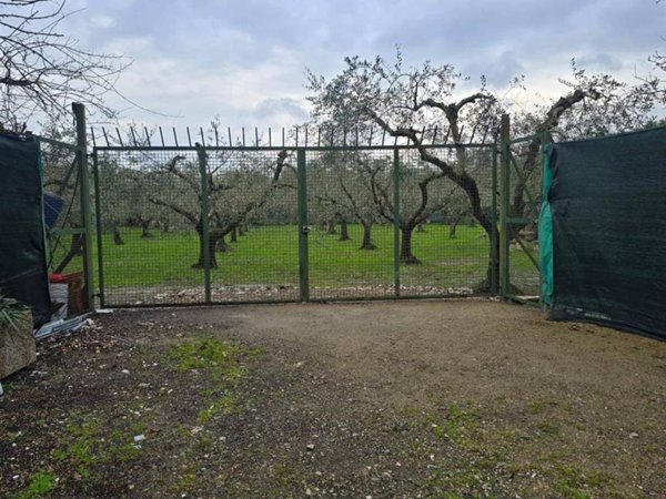 terreno agricolo in vendita a Prato in zona Tobbiana