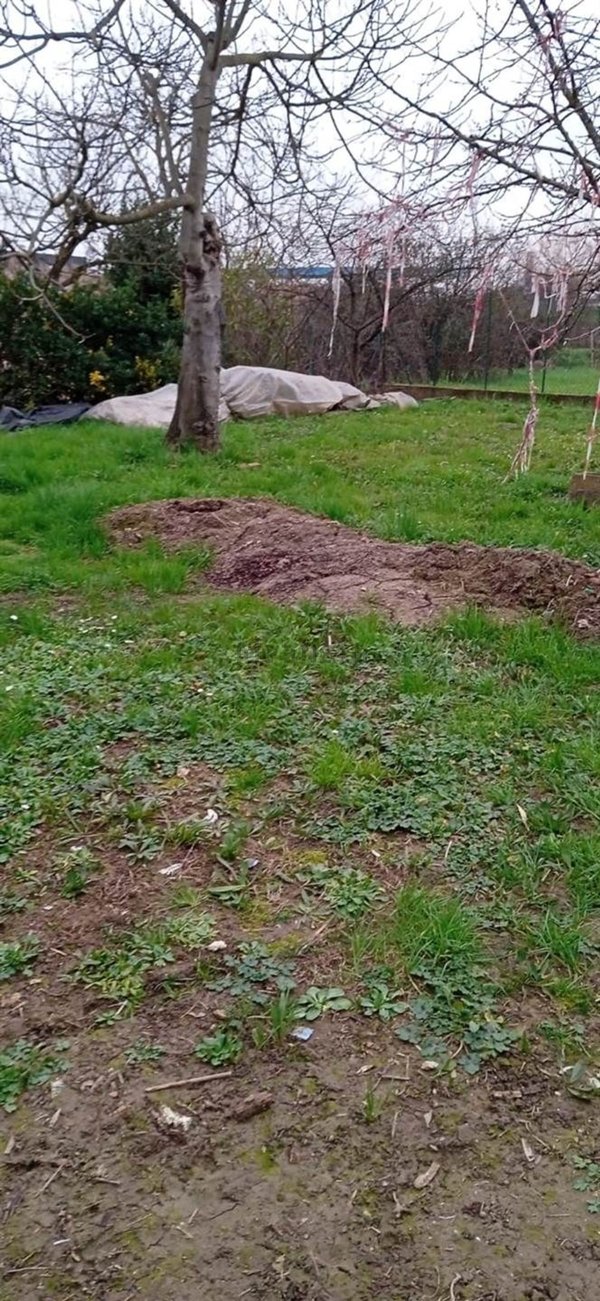 casa indipendente in vendita a Prato in zona Sant'Ippolito