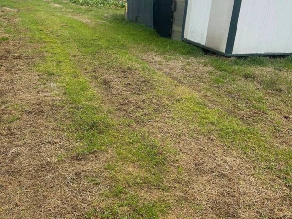 terreno agricolo in vendita a Prato in zona Castelnuovo