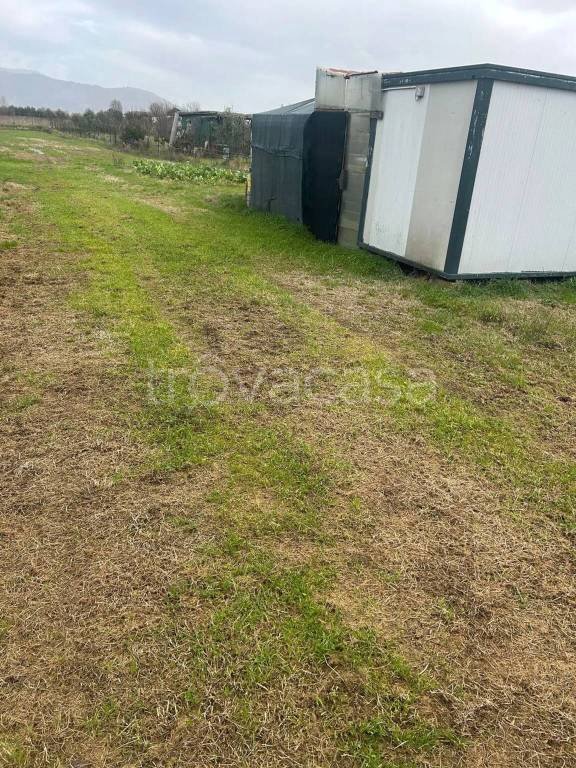terreno agricolo in vendita a Prato in zona Castelnuovo