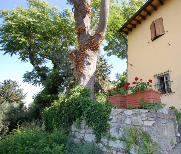 casa indipendente in vendita a Prato