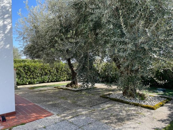 appartamento in vendita a Prato in zona Tavola