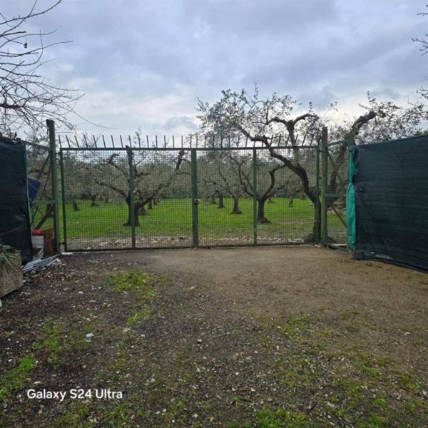terreno agricolo in vendita a Prato in zona San Giusto