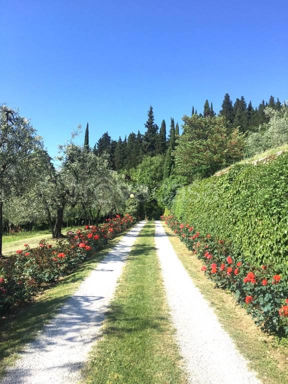 casa indipendente in vendita a Prato in zona Carteano