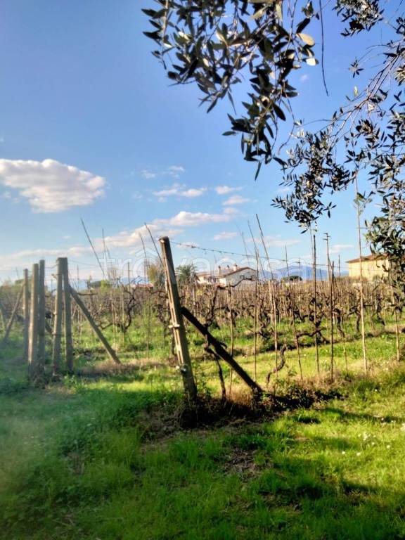 terreno agricolo in vendita a Prato