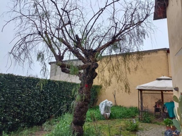 appartamento in vendita a Prato in zona Castelnuovo