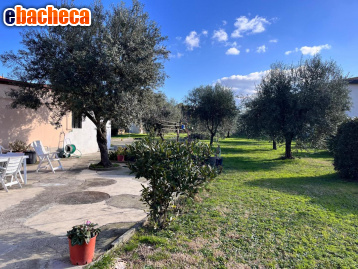appartamento in vendita a Prato in zona Viaccia