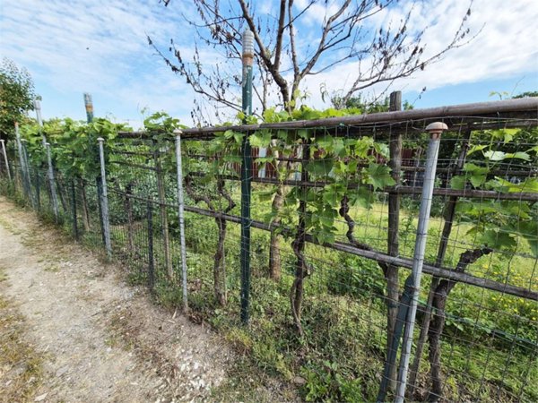 terreno agricolo in vendita a Prato in zona Galciana