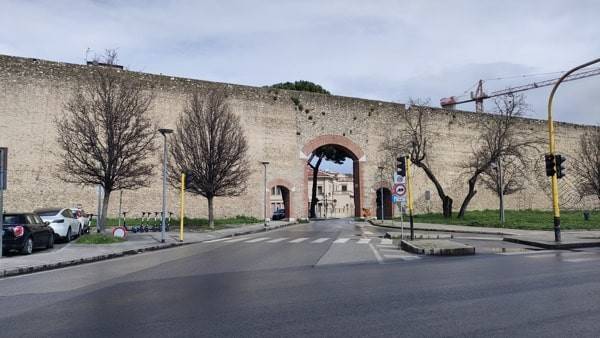 negozio in vendita a Prato