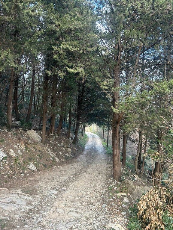 terreno agricolo in vendita a Prato in zona Cerreto