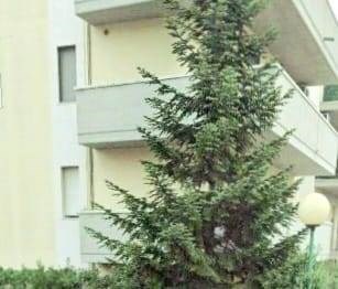 appartamento in vendita a Prato in zona Grignano