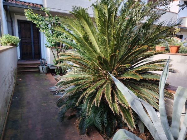 casa indipendente in vendita a Prato in zona Galciana