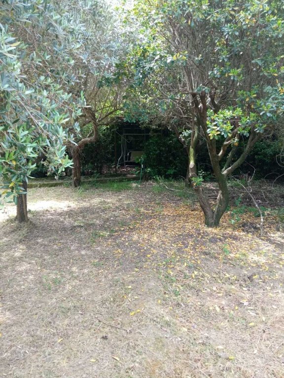 terreno agricolo in vendita a Prato in zona Galciana