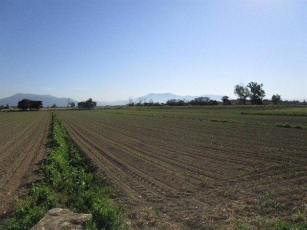 terreno agricolo in vendita a Prato in zona Fontanelle