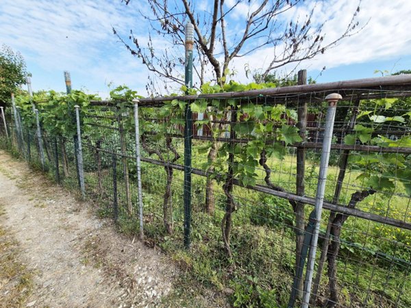 terreno agricolo in vendita a Prato in zona Galciana