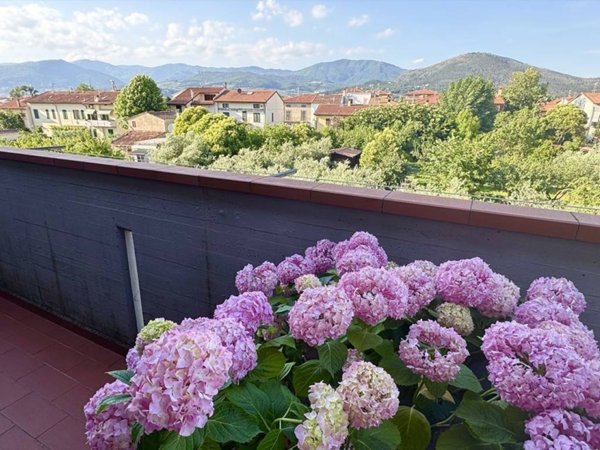appartamento in vendita a Prato in zona Viaccia