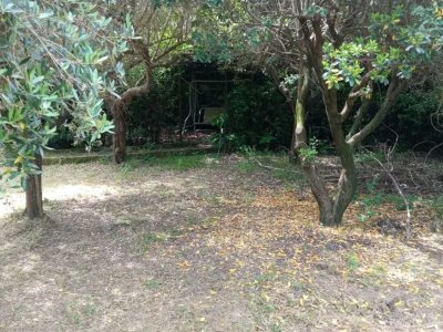 terreno agricolo in vendita a Prato in zona Galciana
