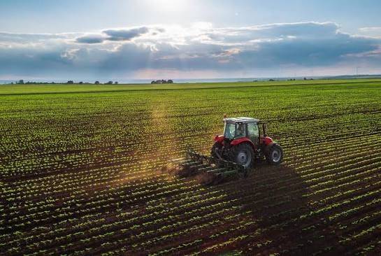 terreno agricolo in vendita a Prato in zona Fontanelle