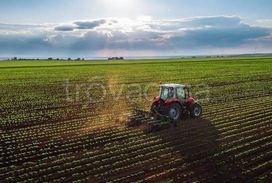 terreno agricolo in vendita a Prato in zona Castelnuovo