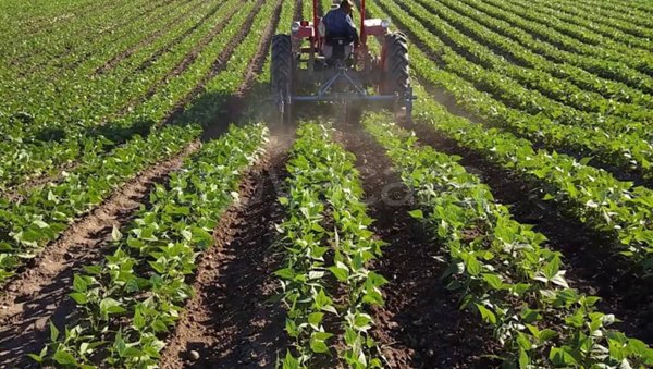terreno agricolo in vendita a Prato in zona Iolo