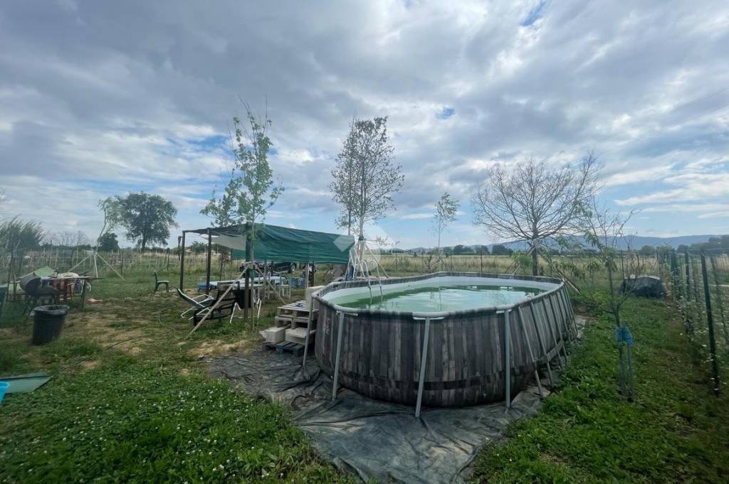 terreno agricolo in vendita a Prato in zona Sant'Ippolito