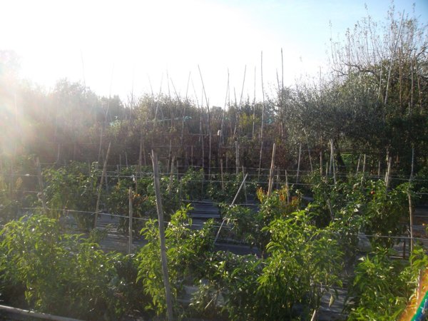 casale in vendita a Prato in zona Galciana