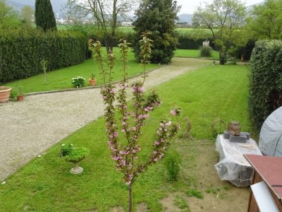 casa indipendente in vendita a Prato