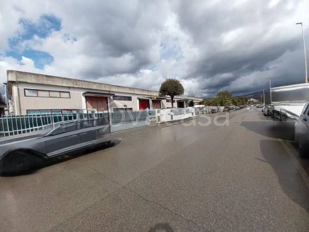 appartamento in vendita a Prato in zona Maliseti