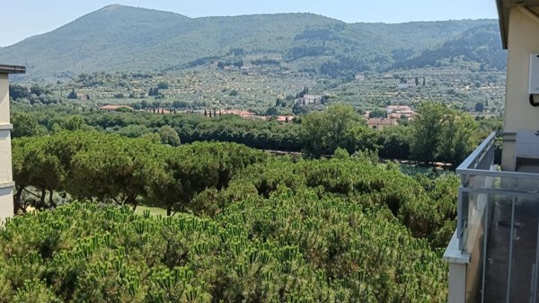 appartamento in vendita a Prato
