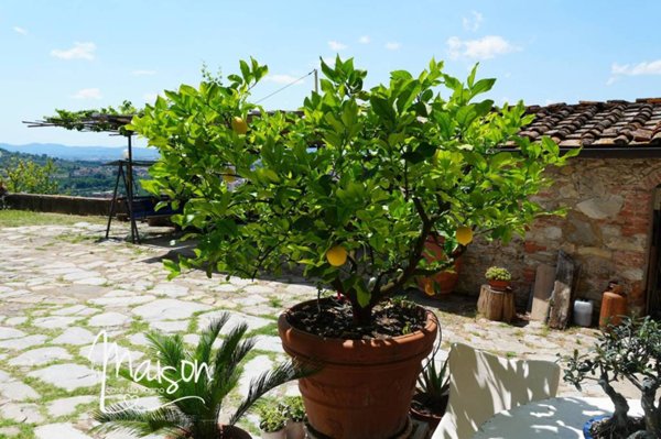 casa indipendente in vendita a Prato in zona Santa Lucia