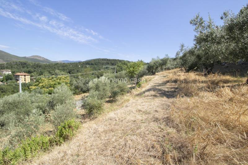 casa indipendente in vendita a Prato