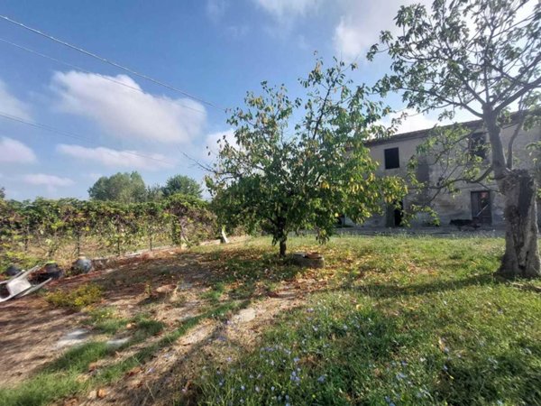 esavano in vendita a Prato in zona Sant'Ippolito