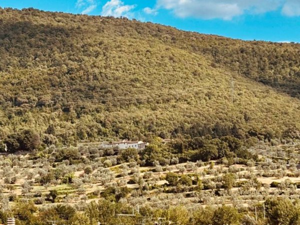 appartamento in vendita a Prato in zona Santa Lucia