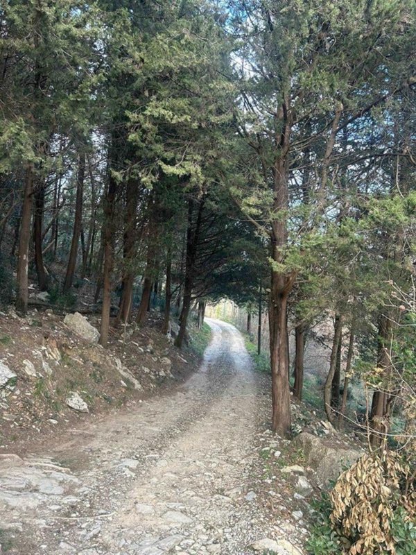 terreno agricolo in vendita a Prato in zona Galceti