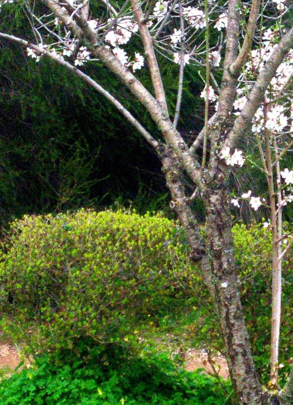 pentavano in vendita a Prato in zona Iolo