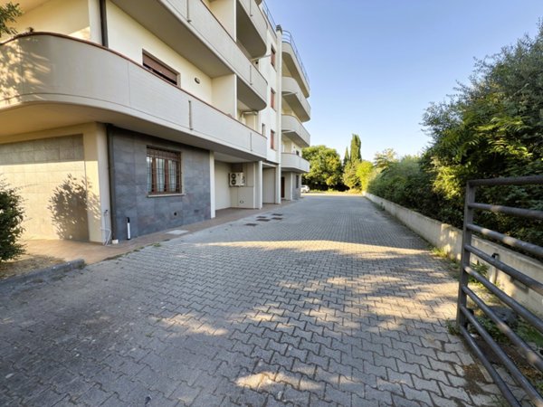 appartamento in vendita a Prato in zona Castelnuovo