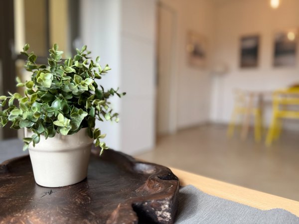 appartamento in vendita a Prato in zona Galciana