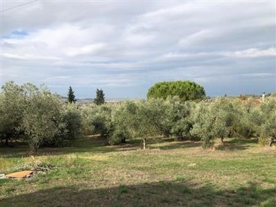 casa indipendente in vendita a Prato in zona Casale