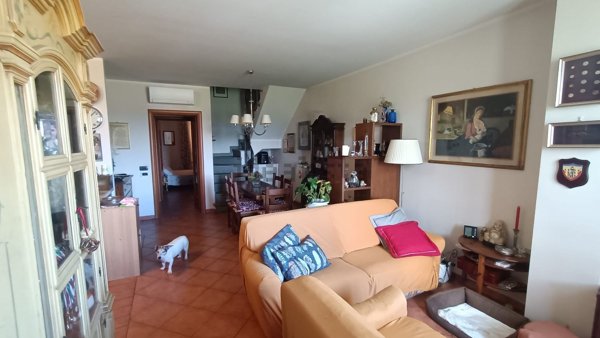 appartamento in vendita a Prato