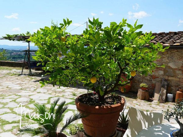 casa indipendente in vendita a Prato in zona Santa Lucia