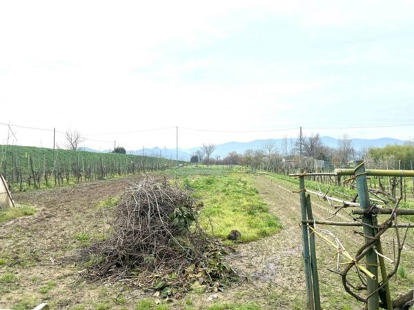 terreno agricolo in vendita a Prato in zona Iolo