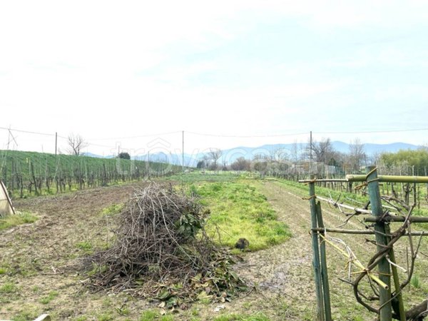 terreno agricolo in vendita a Prato in zona Iolo