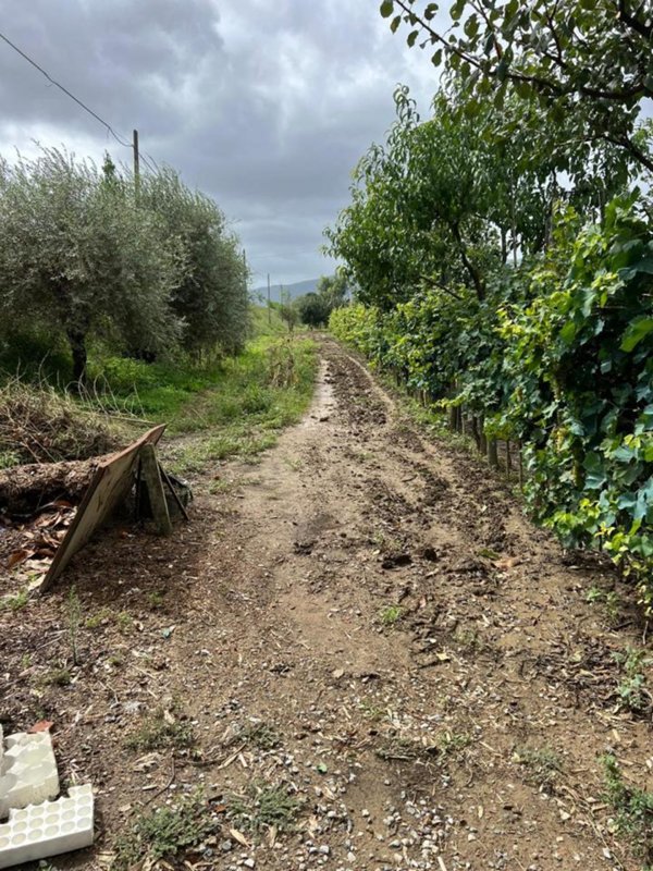 casa indipendente in vendita a Prato in zona Iolo