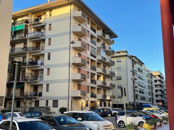 appartamento in vendita a Prato